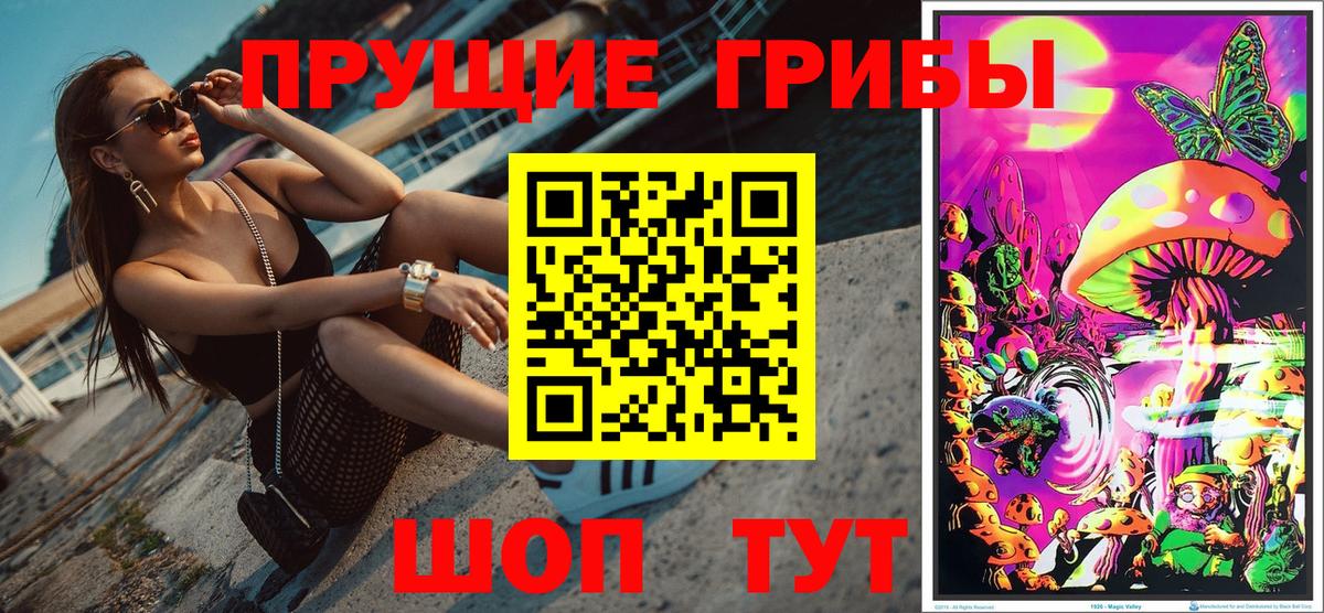 Галлюциногенные грибы Cubensis Нальчик